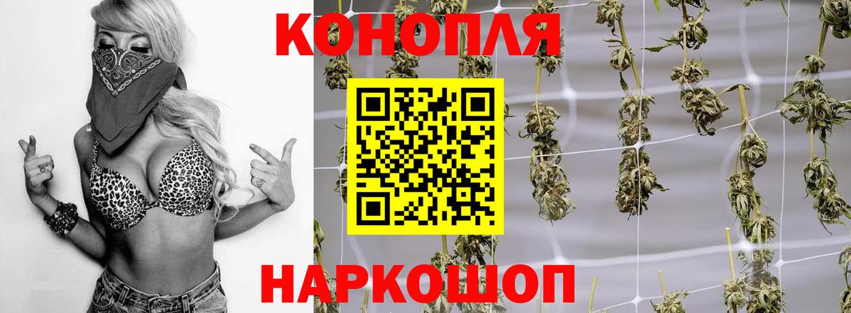 Бошки Шишки THC 21% Полевской